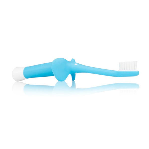 Product image of blue toothbrush