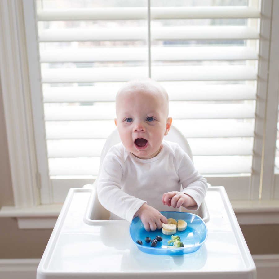 Dr. Brown's Dr. Brown’s™  Designed to Nourish™ Toddler Plate