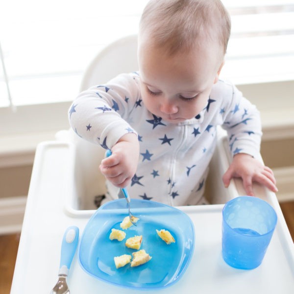 Baby in high chair eating from blue toddler plate