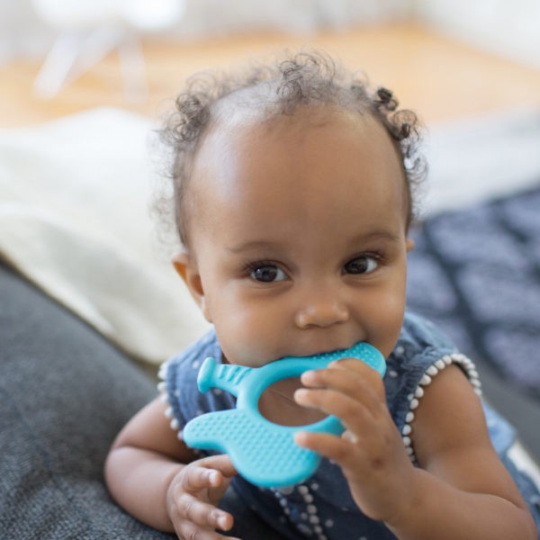 Baby sitting on couch with elephant teether in mouth