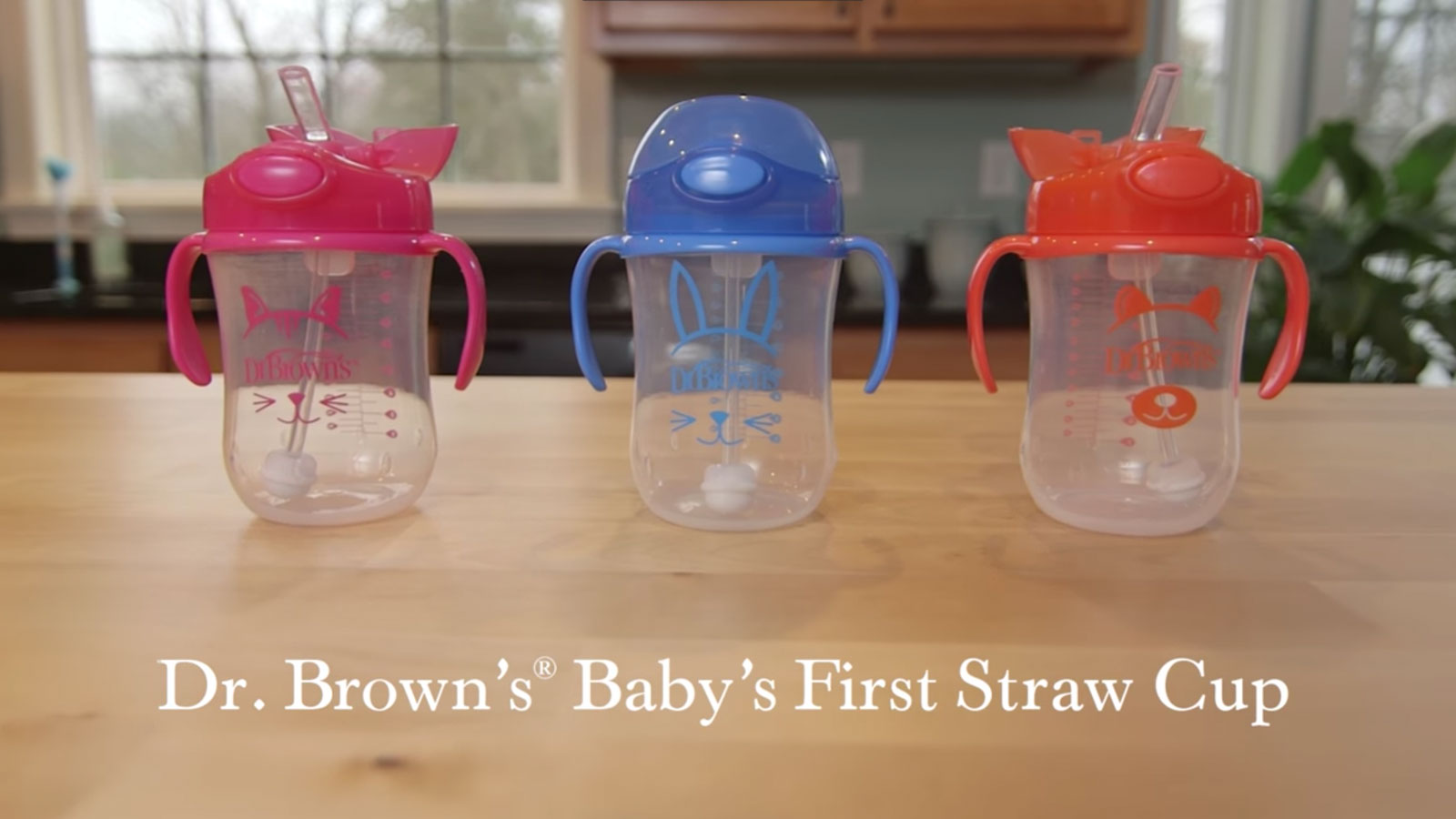 dr brown's straw cup replacement kit