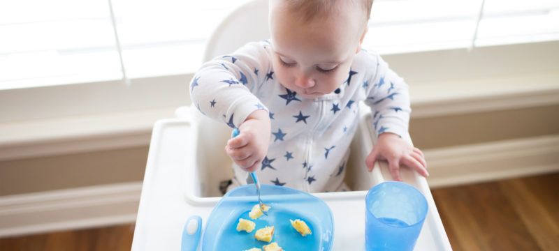 Baby in highchair using form to eat bananas from plate