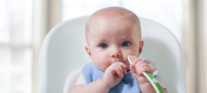 Baby in highchair holding spatula spoon
