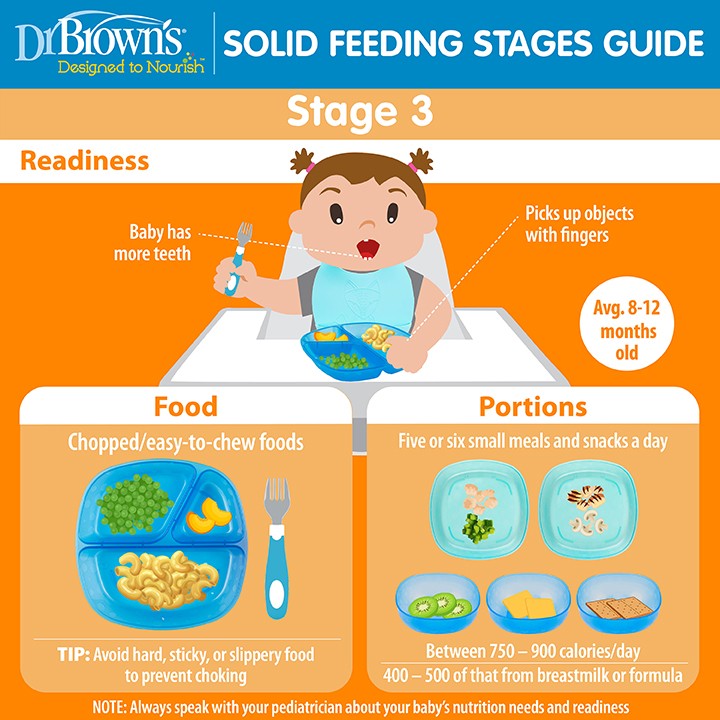 How To Make Baby Food and Introducing Solids (6-12 mo) 