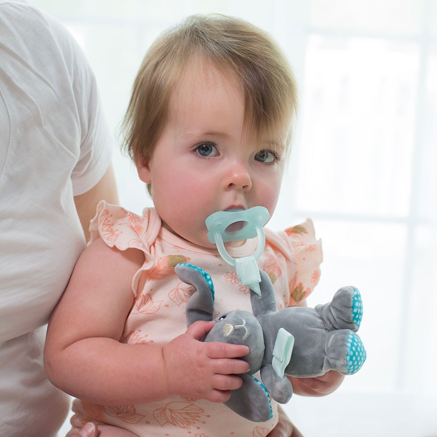 Dr. Brown's Dr. Brown’s™ Lovey Pacifier and Teether Holder, 0-6m, Bunny With Teal Pacifier