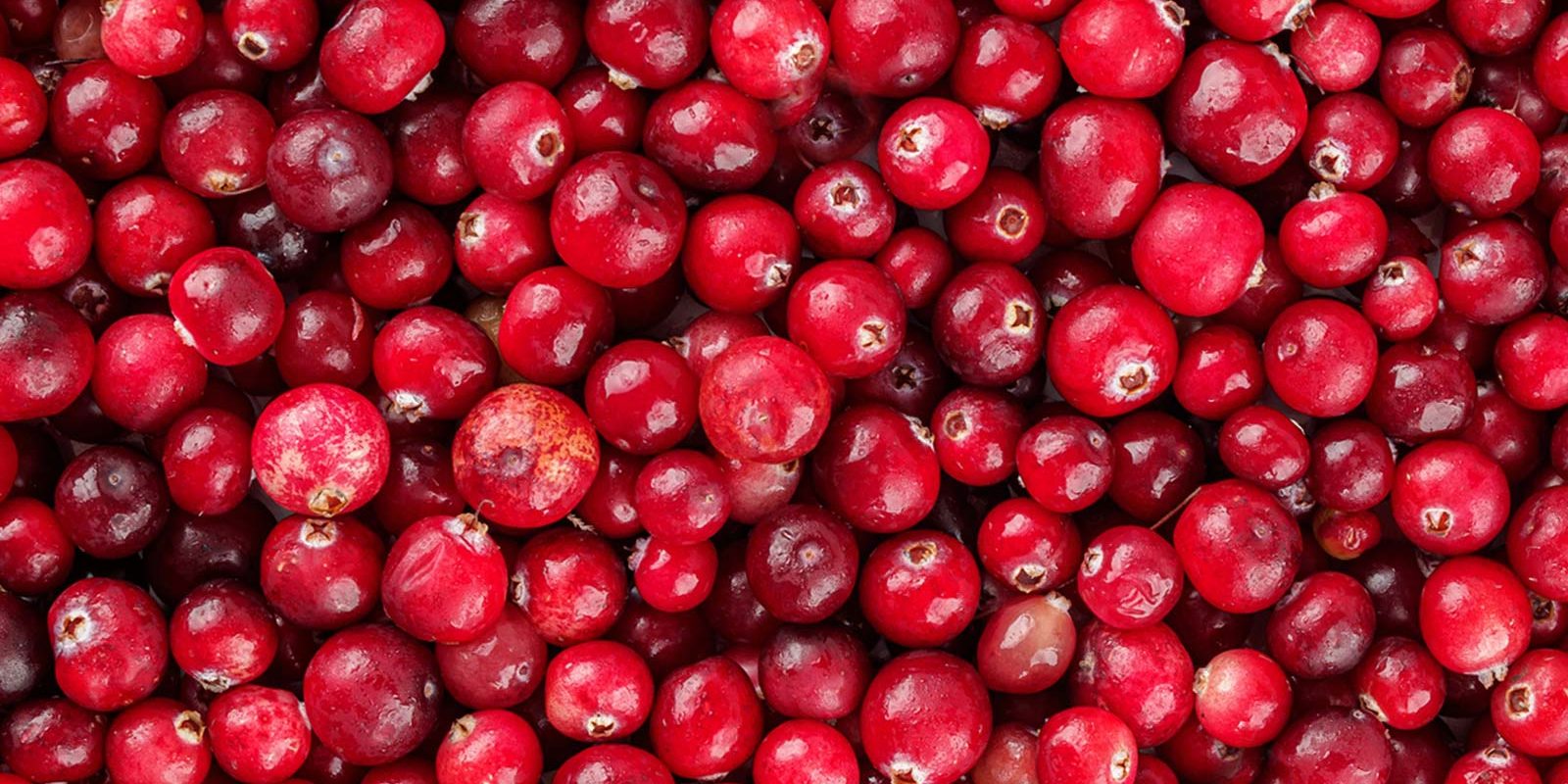 Cranberries: A Holiday Favorite