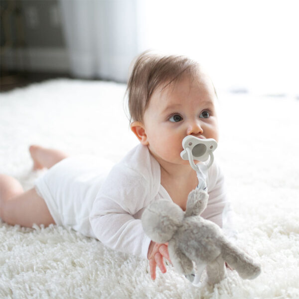 Infant with Sloth Lovey and gray pacifier