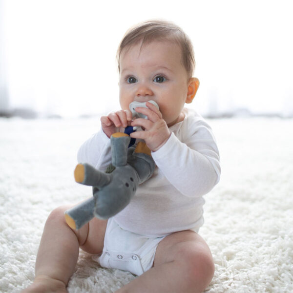 Infant with Triceratops Lovey and gray pacifier